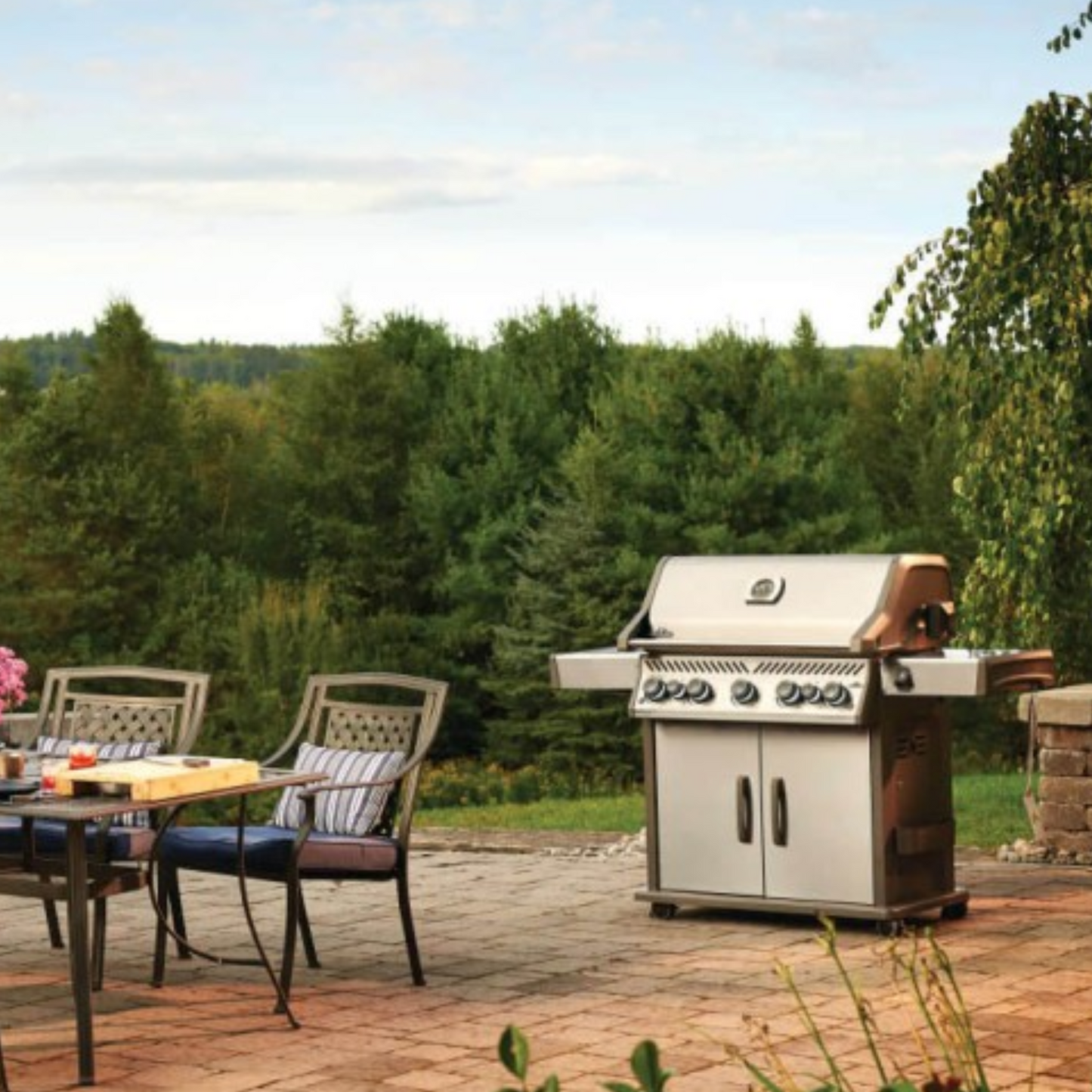 Napoleon Rogue SE 625 Propane Gas BBQ RSE625RSIBPSS-1 | Free Cover + Meat Lovers Kit