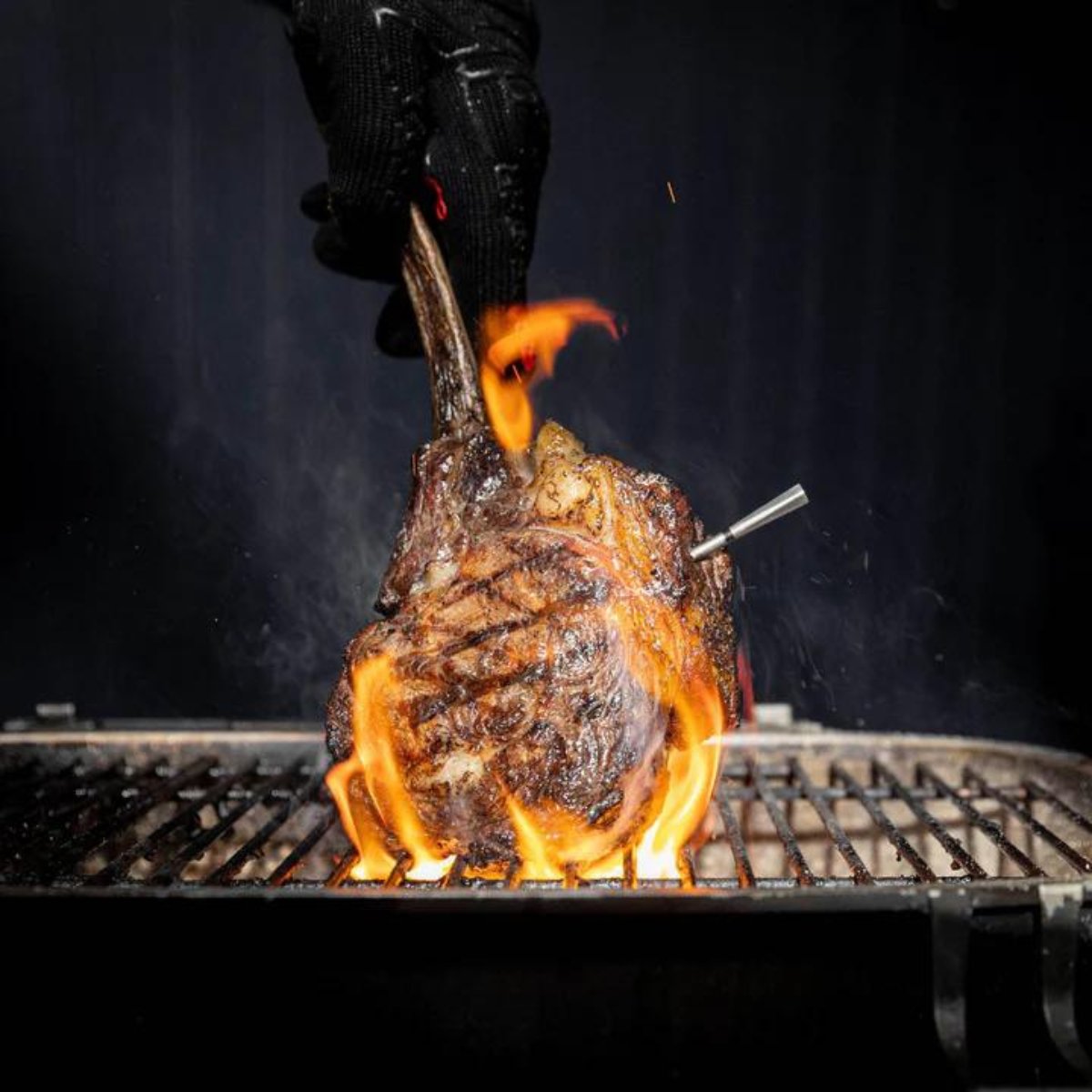 Traeger MEATER Pro Duo